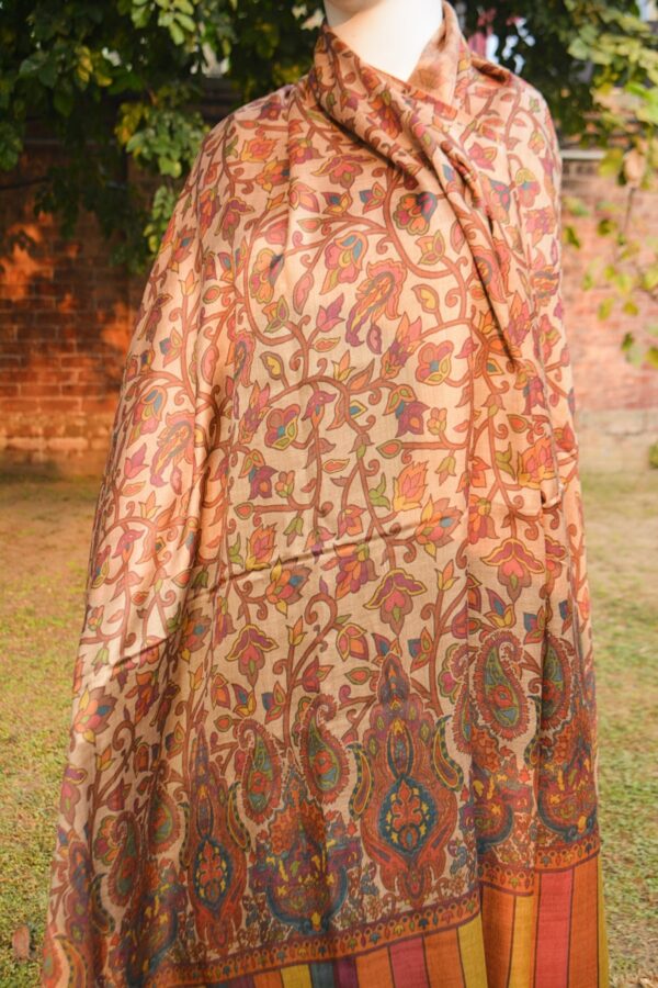 Floral Printed Shawl with Paisley and Striped Border - Image 2