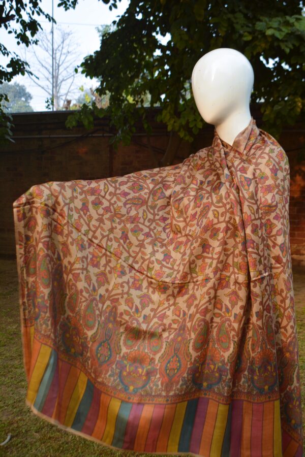 Floral Printed Shawl with Paisley and Striped Border - Image 3