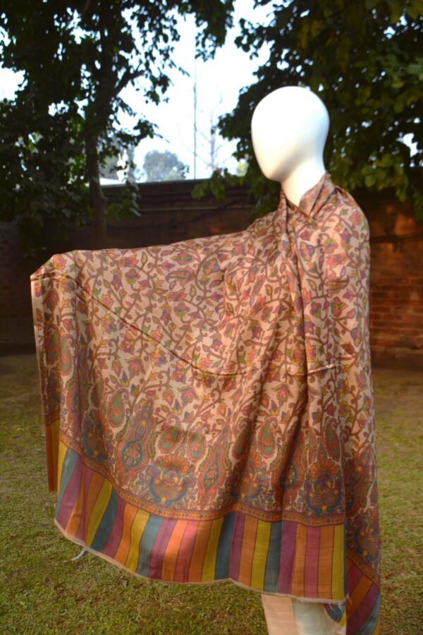 Floral Printed Shawl with Paisley and Striped Border - Image 4