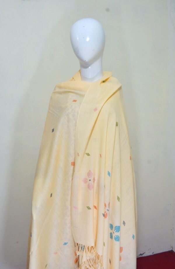 Swati Wool Khadi Shawl – Handcrafted Design