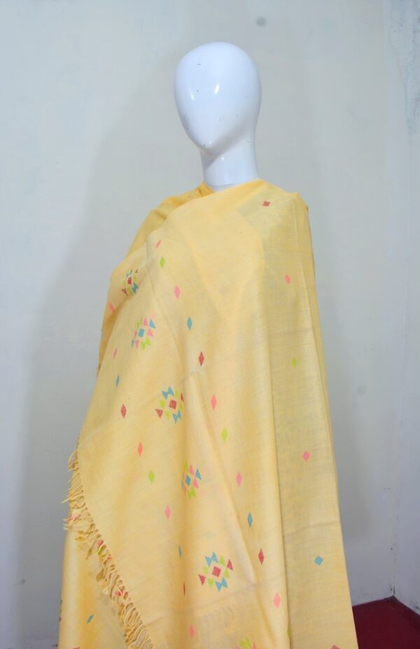 Swati Wool Khadi Shawl – Handcrafted Design