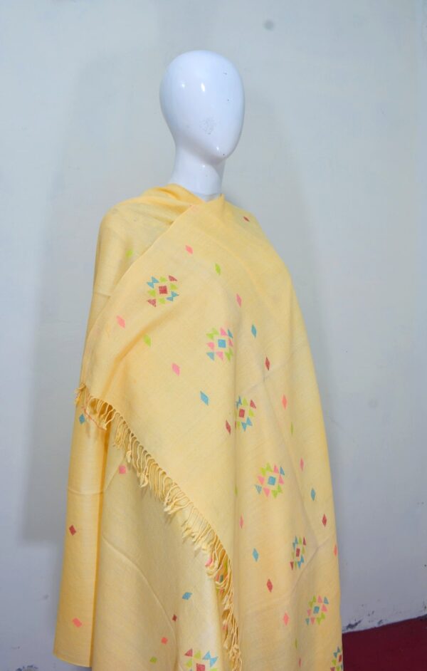 Swati Wool Khadi Shawl – Handcrafted Design - Image 2