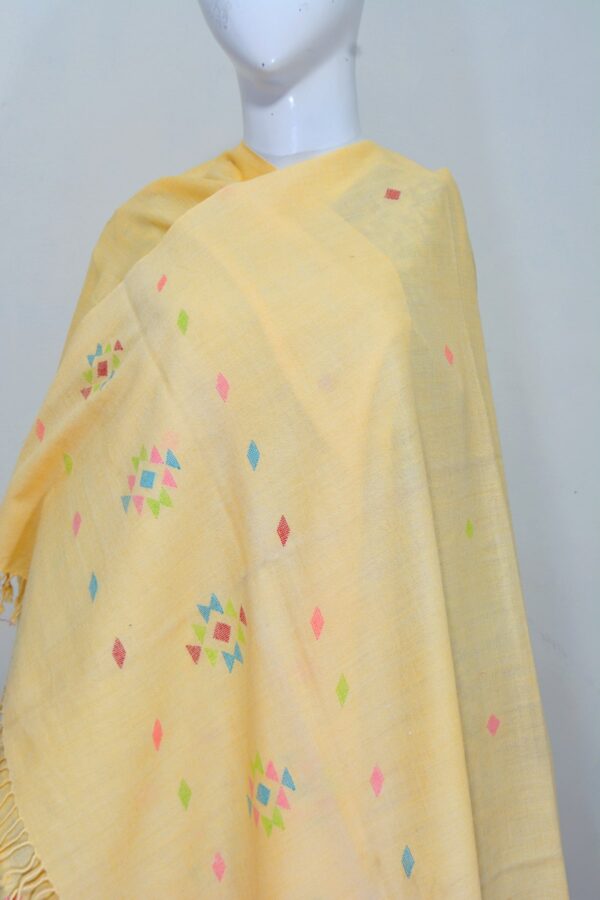 Swati Wool Khadi Shawl – Handcrafted Design - Image 3