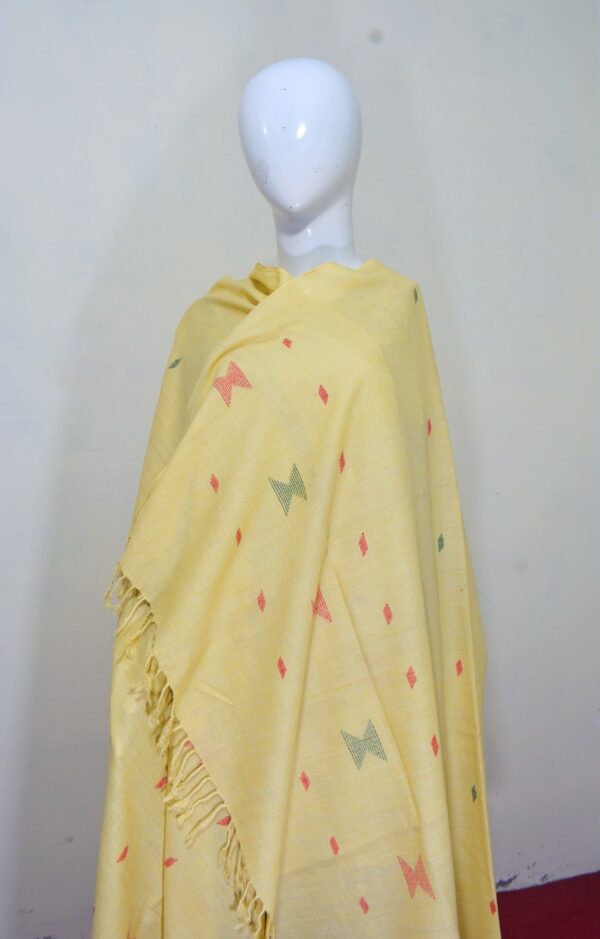 Swati Wool Khadi Shawl – Handcrafted Design